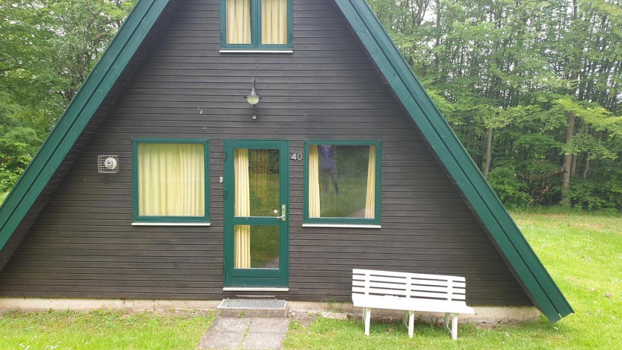 Ferienhaus Nr. 40 Im Ferienpark Am Twistesee Bad Arolsen Dış mekan fotoğraf